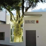 FB_IMG_1668956982372