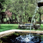 FB_IMG_1670967188202