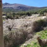 IMG_20230402_134533~2