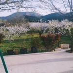 IMG_20230404_190854~2